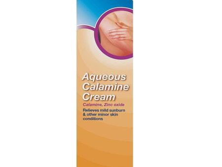 Care Aqueous Calamine Cream 100g Online