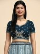 Blue Fancy Net Sequence Embroidered Lehenga Choli with Dupatta - Dhara Sale