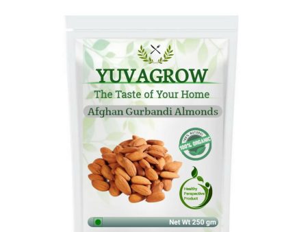 Yuvagrow Afghan Gurbandi Almonds Cheap