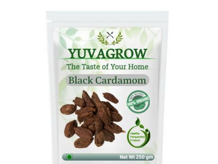 Yuvagrow Black Cardamom For Cheap