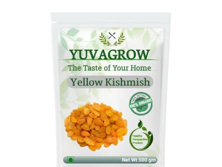 Yuvagrow Yellow Seedless Kishmish For Discount