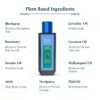 Blue Nectar Briganantadi Rosemary Hair Nourishment Oil Online Hot Sale