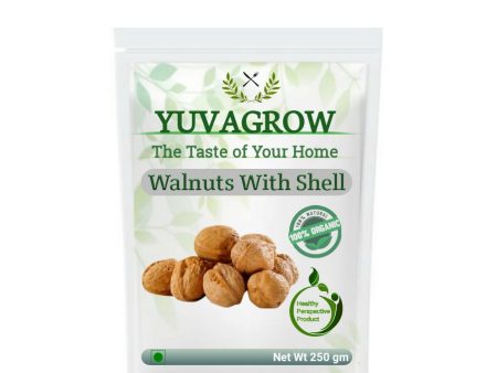 Yuvagrow Walnuts with Shell Online Hot Sale