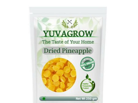 Yuvagrow Dried Pineapple Coins Cheap