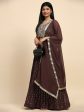 Brown Georgette Embroidered Lehenga choli with Dupatta - Dhara For Cheap