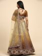 Brown Fancy Net Sequence Embroidered Lehenga Choli with Dupatta - Dhara For Sale