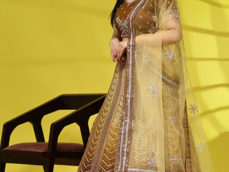 Brown Fancy Net Sequence Embroidered Lehenga Choli with Dupatta - Dhara For Sale