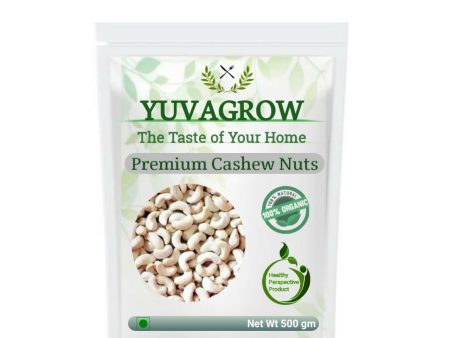 Yuvagrow Premium W-320 Cashew Nuts Hot on Sale