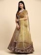 Brown Fancy Net Sequence Embroidered Lehenga Choli with Dupatta - Dhara For Sale